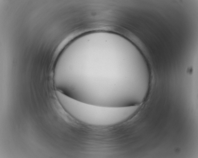 X0000113961332200910161954