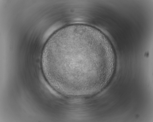 X0000113961333200910161954