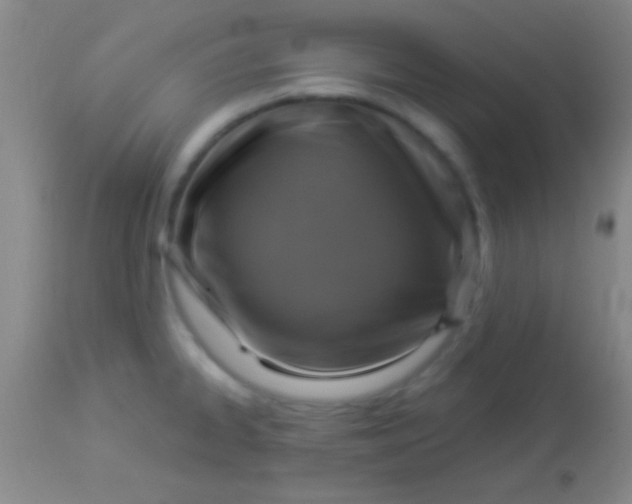 X0000113961334200910161954