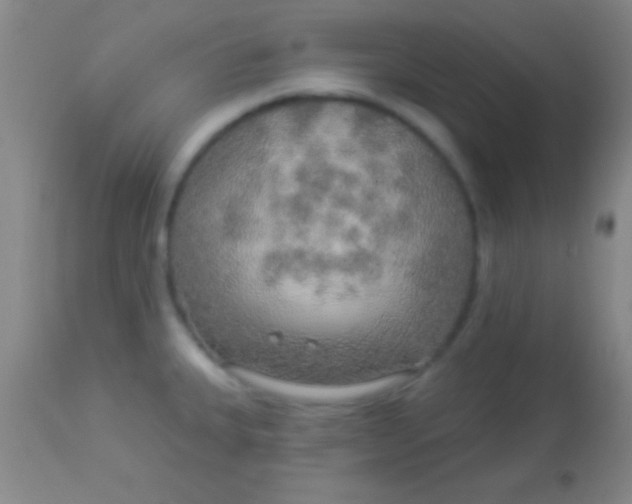 X0000113961335200910161954