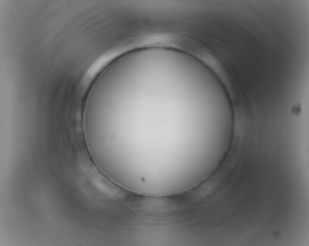 X0000113961336200910161954