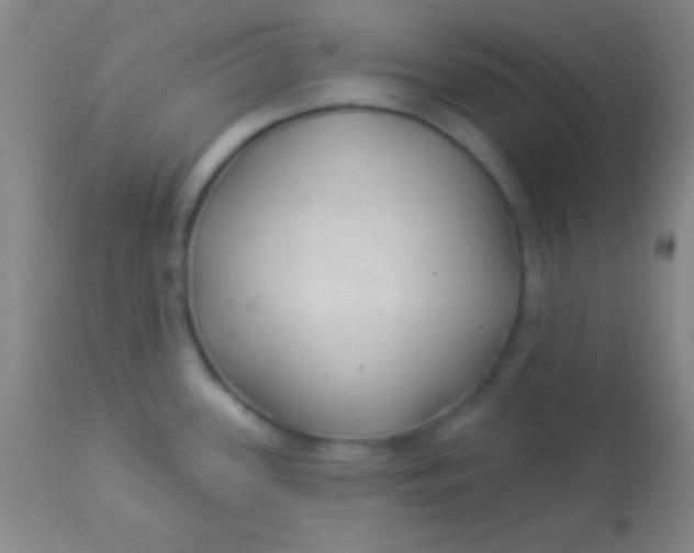 X0000113961339200910161954