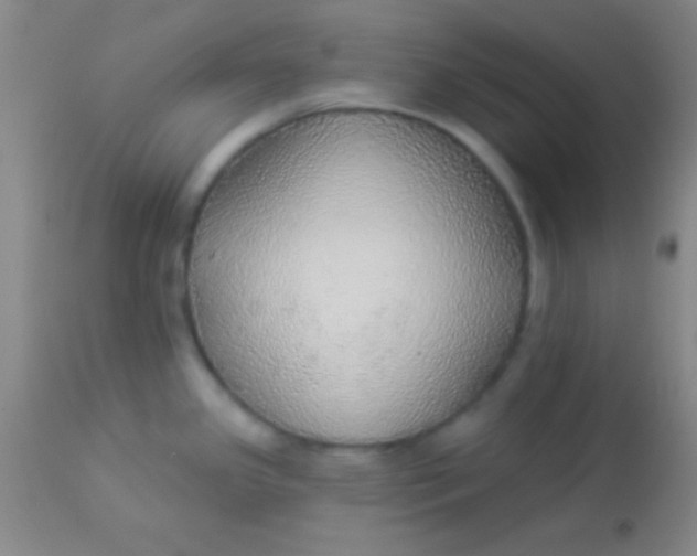 X0000113961341200910161954