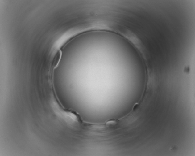 X0000113961342200910161954