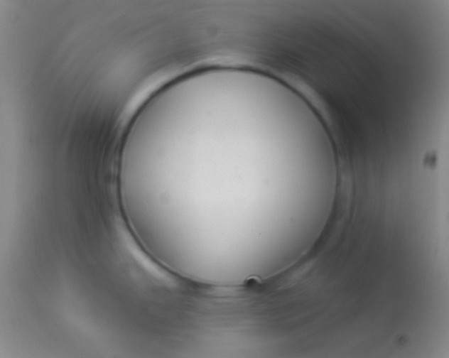 X0000113961343200910161954