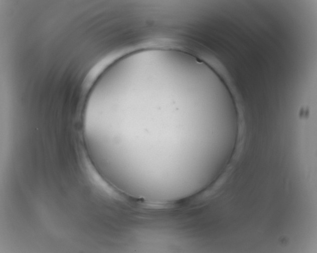 X0000113961344200910161954