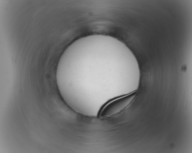 X0000113961345200910161954