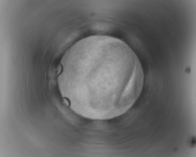 X0000113961346200910161954