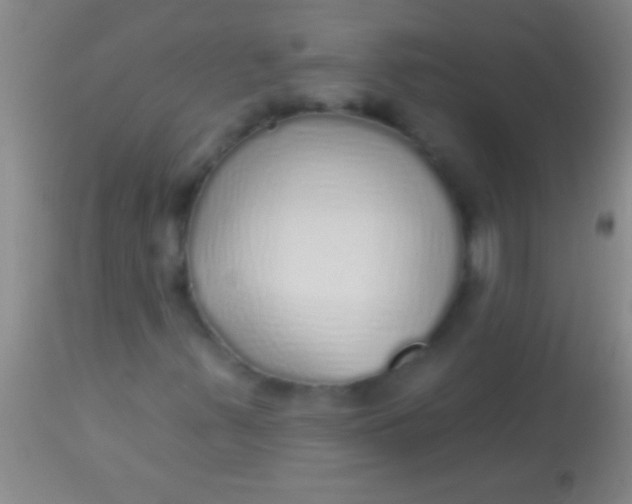 X0000113961347200910161954