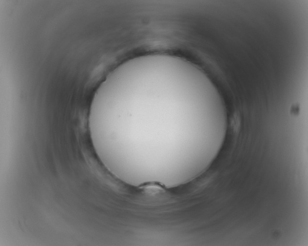 X0000113961348200910161954