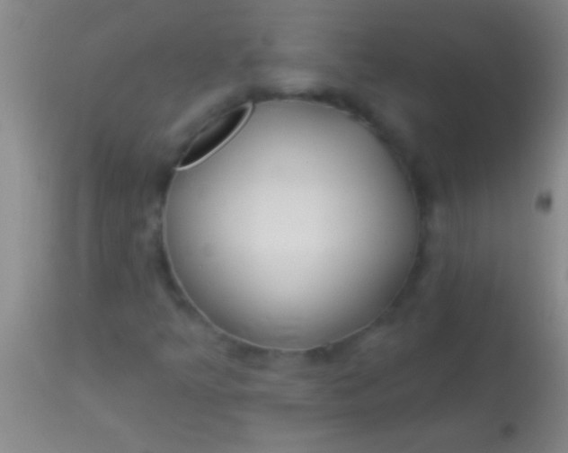 X0000113961349200910161954