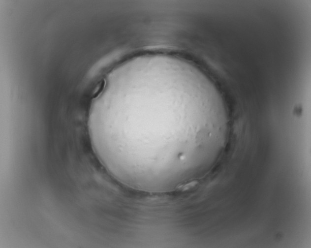 X0000113961351200910161954