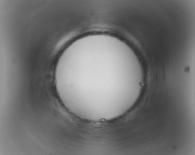 X0000113961352200910161954