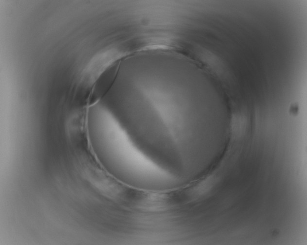 X0000113961353200910161954