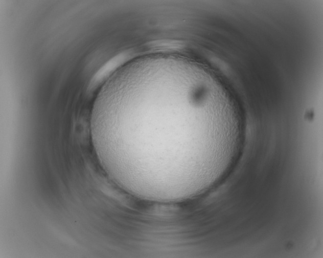 X0000113961354200910161954