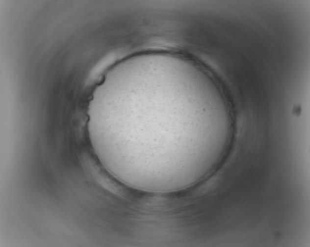 X0000113961355200910161954