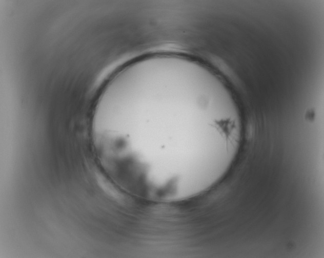 X0000113961356200910161954