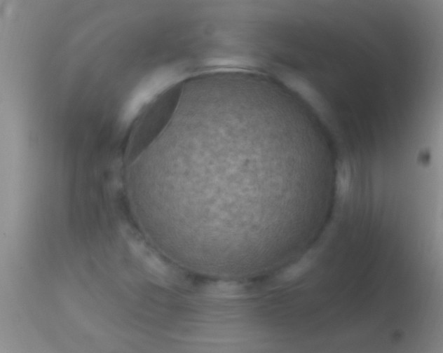 X0000113961357200910161954