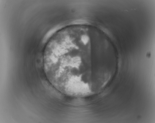 X0000113961358200910161954