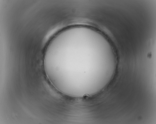 X0000113961360200910161953