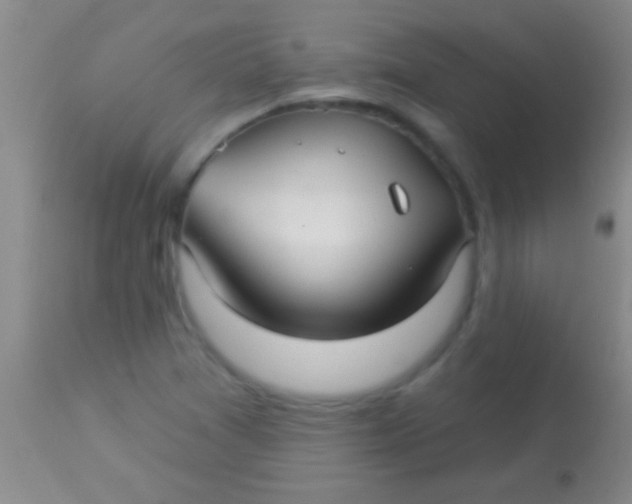 X0000113961361200910161953