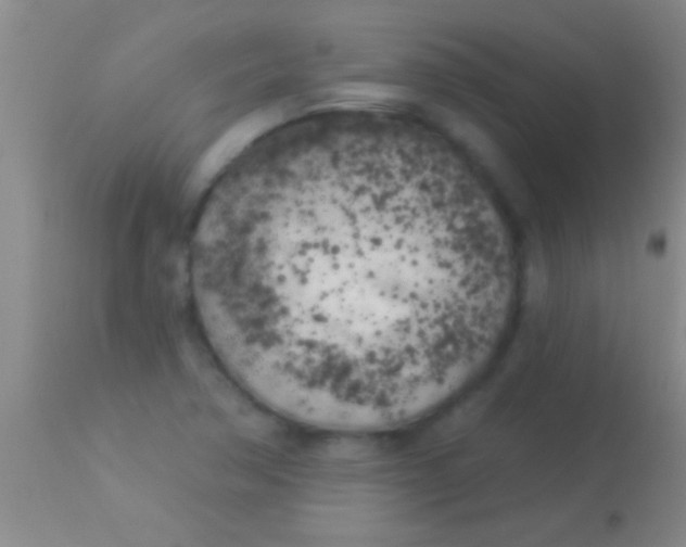 X0000113961362200910161953