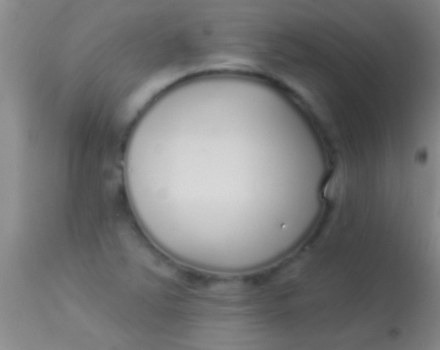 X0000113961363200910161953