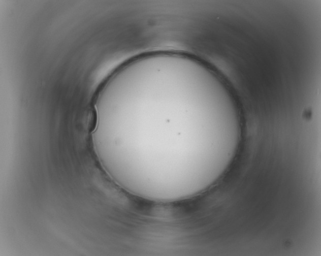 X0000113961364200910161953