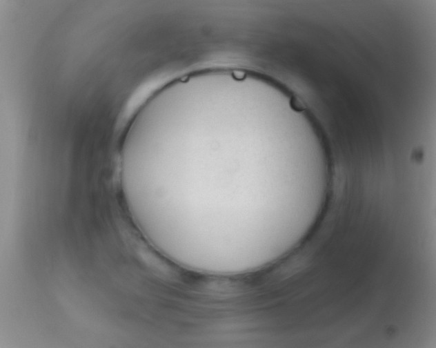 X0000113961366200910161953