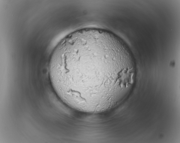 X0000113961367200910161953