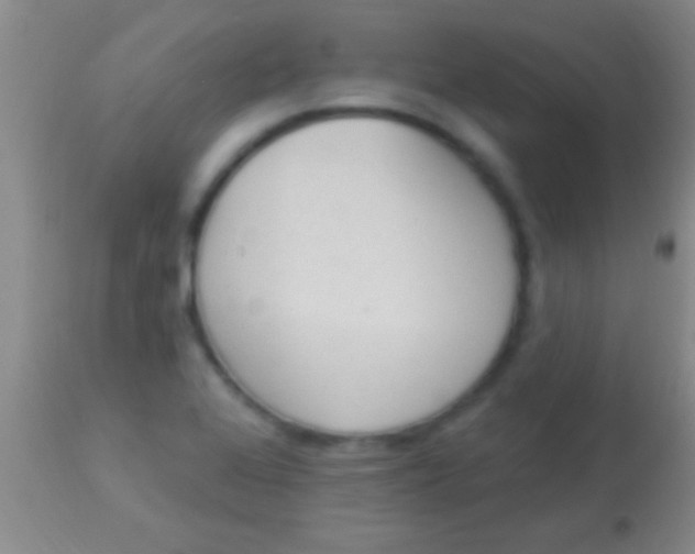 X0000113961368200910161953