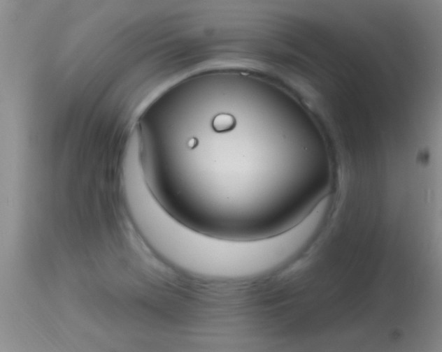 X0000113961369200910161953