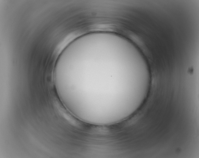 X0000113961370200910161953