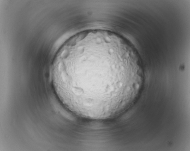 X0000113961371200910161953