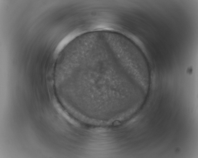 X0000113961373200910161953