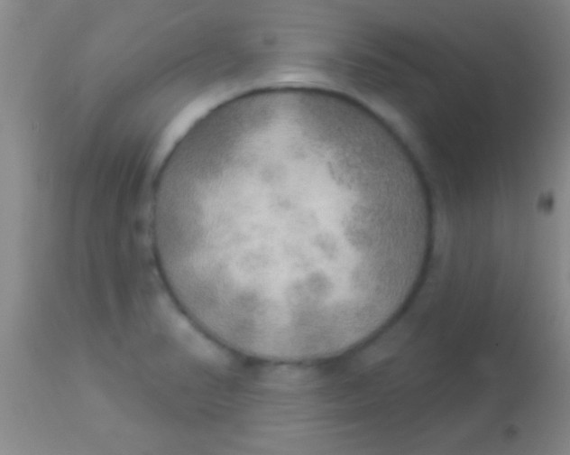 X0000113961374200910161953