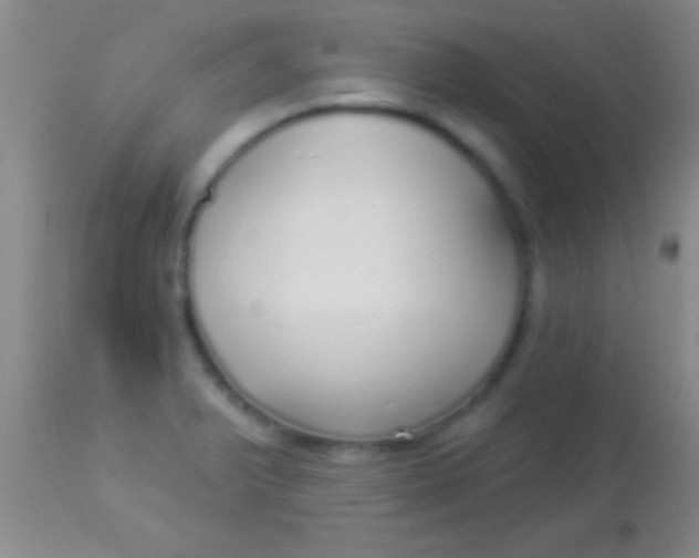 X0000113961375200910161953