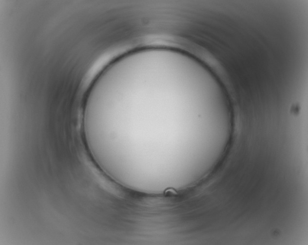 X0000113961376200910161953