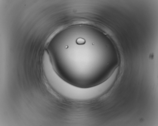 X0000113961377200910161953