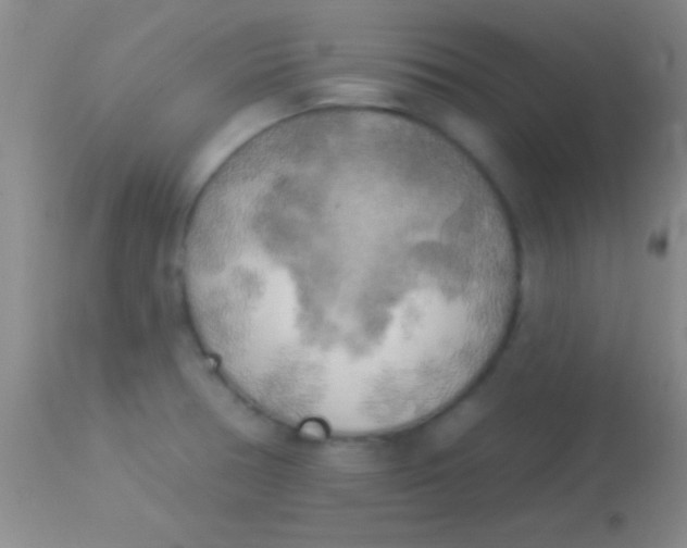 X0000113961378200910161953