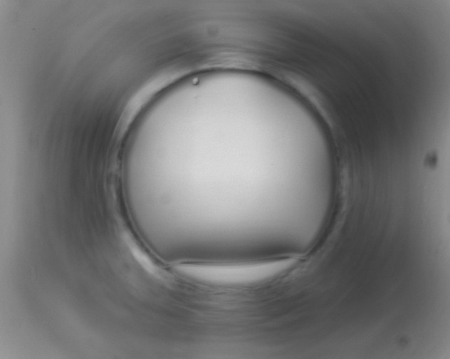 X0000113961379200910161953