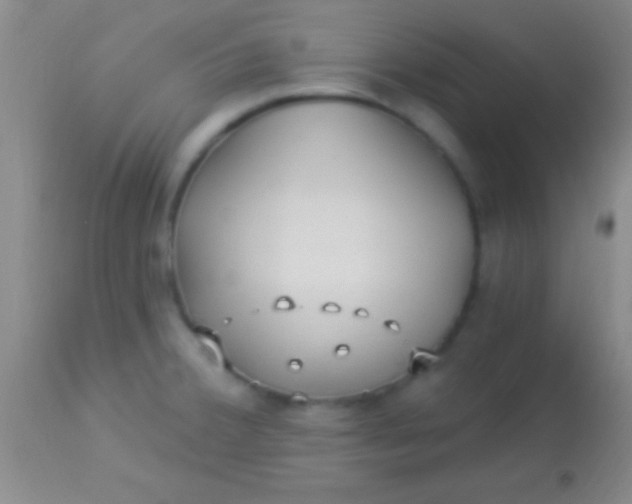 X0000113961380200910161953