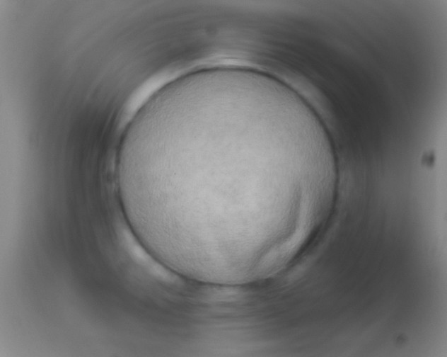 X0000113961382200910161953