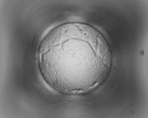 X0000113961383200910161953