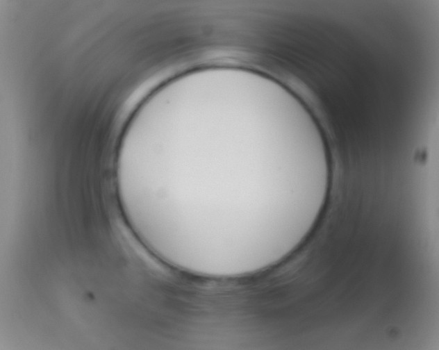 X0000113961384200910161953