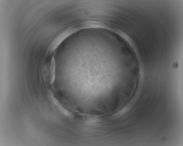 X0000113961385200910161953