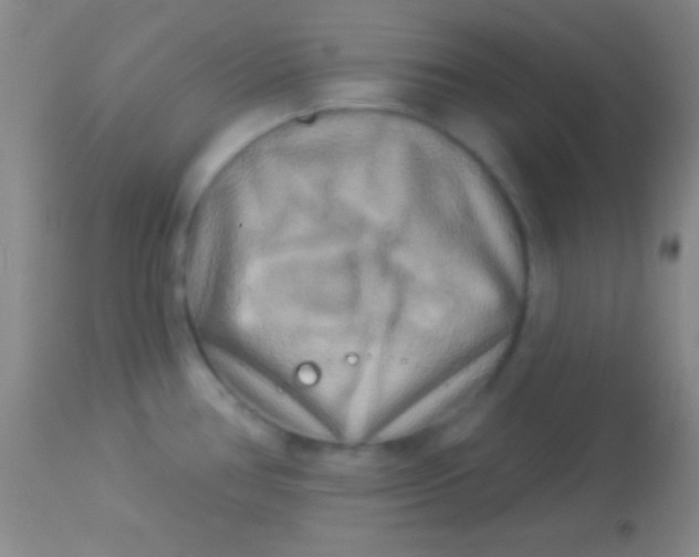 X0000113961386200910161953