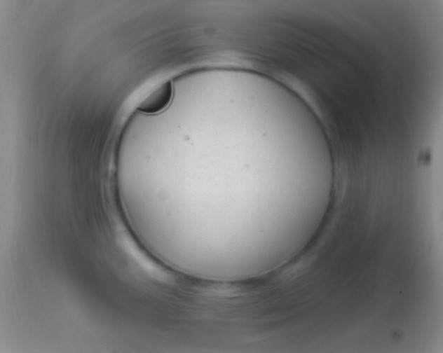 X0000113961387200910161953