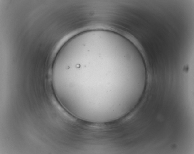 X0000113961388200910161953