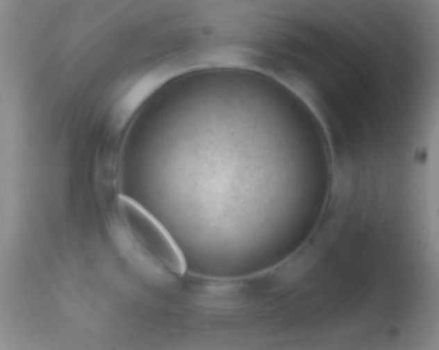 X0000113961389200910161953